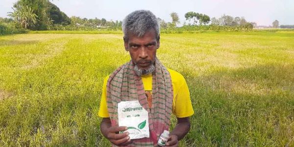 ধানের চারা পচে যাওয়ায় কৃষককে ১২ হাজার টাকা দিয়ে ম্যানেজের চেষ্টা